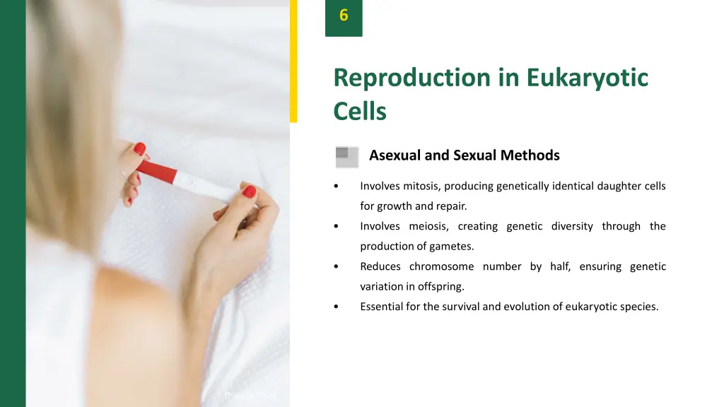 slide8