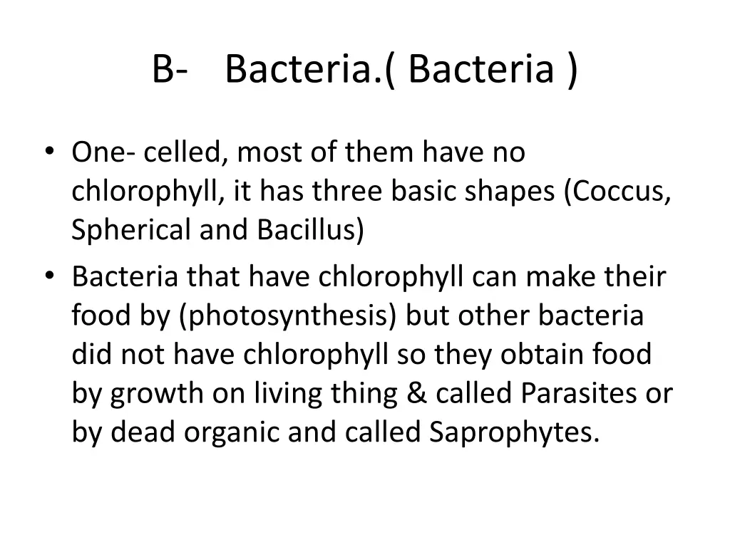 b bacteria bacteria