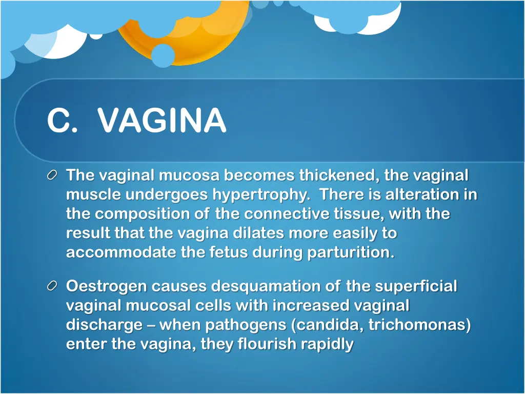 c vagina