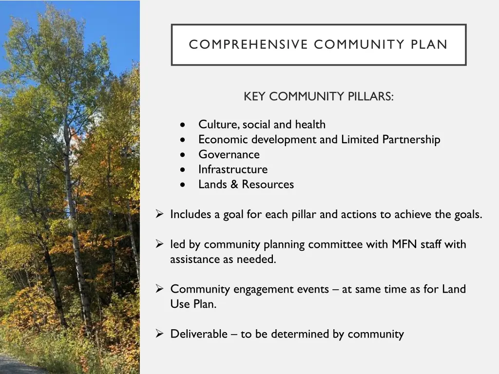 comprehensive community plan 1
