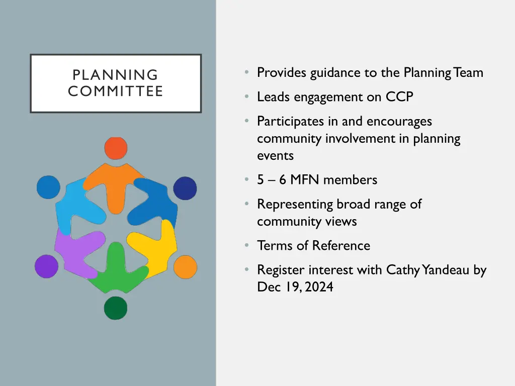 provides guidance to the planning team