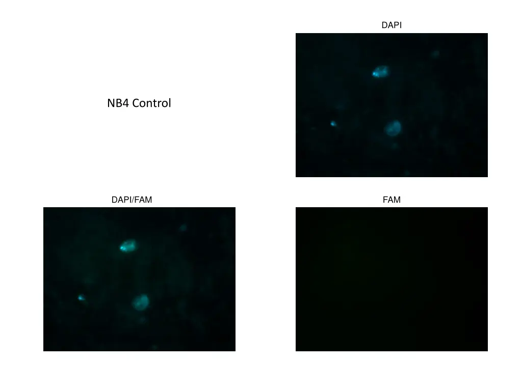 slide23