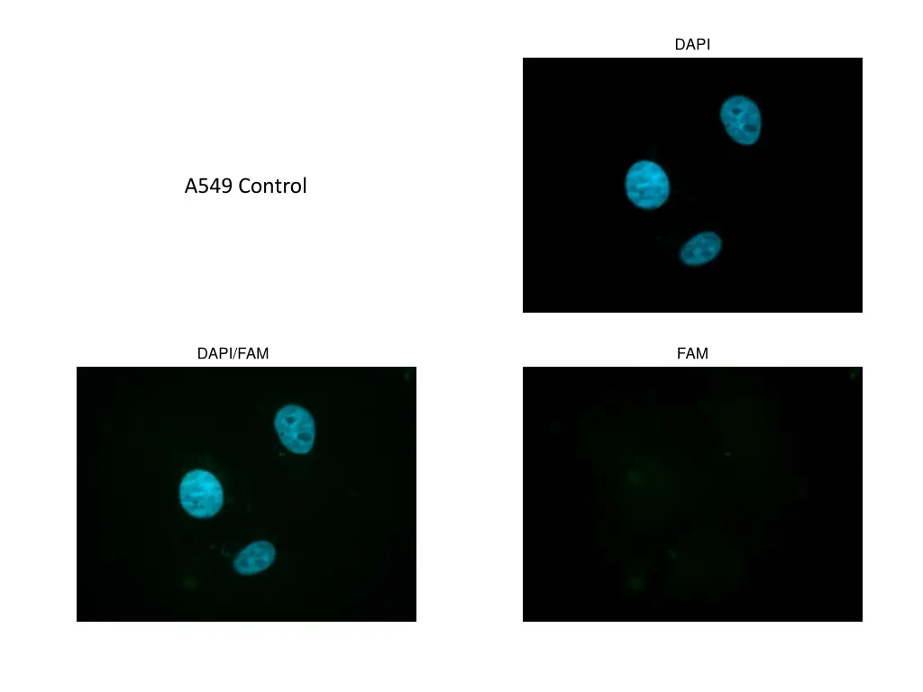 slide27