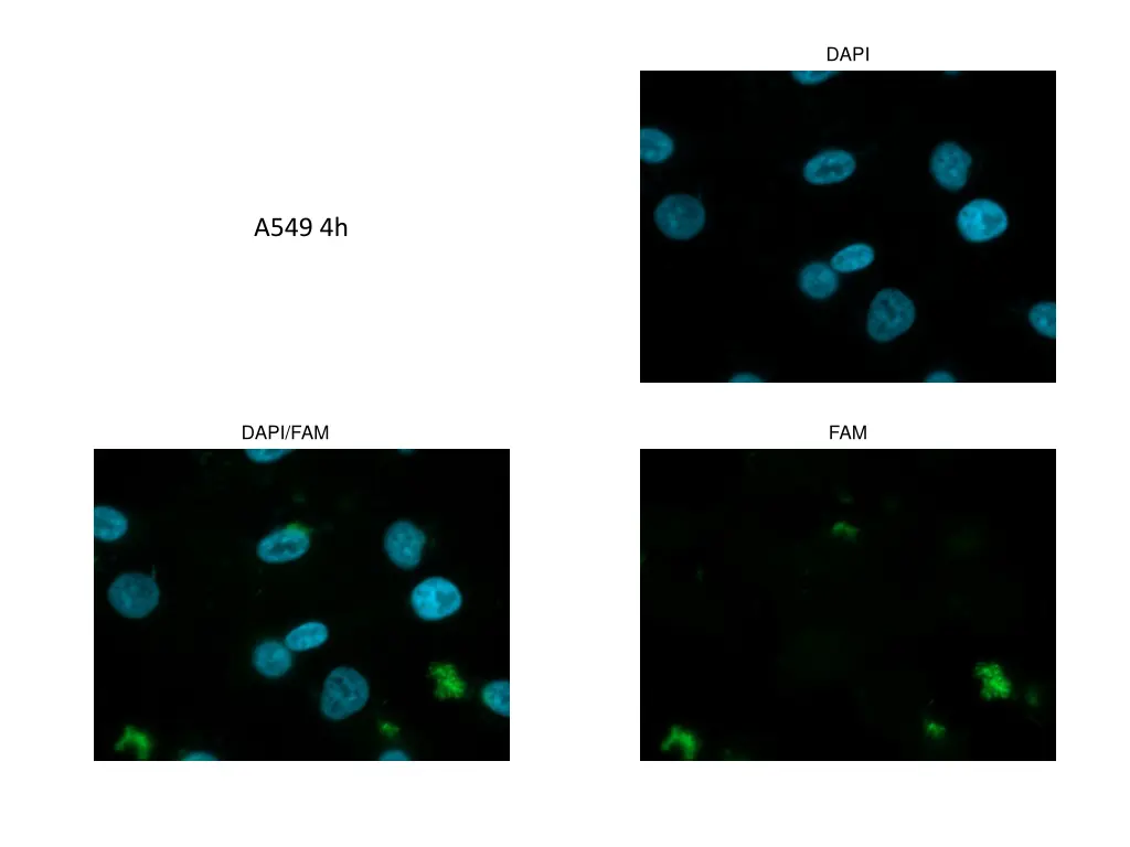 slide28