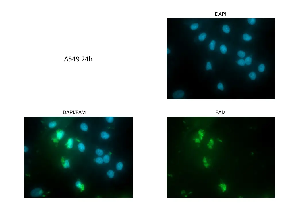 slide29