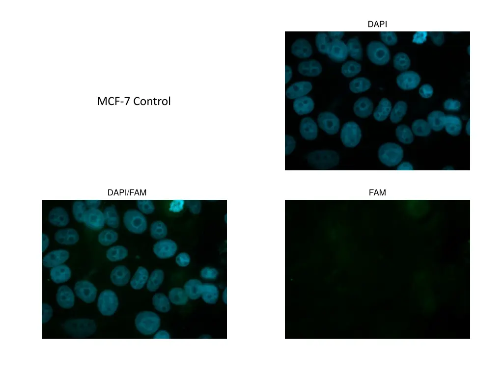slide31