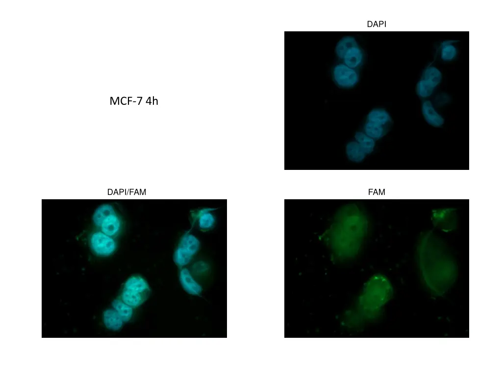 slide32