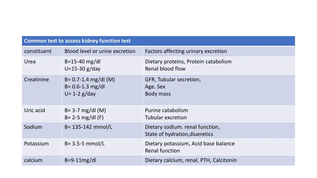 common test to assess kidney function test