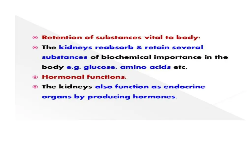 slide13