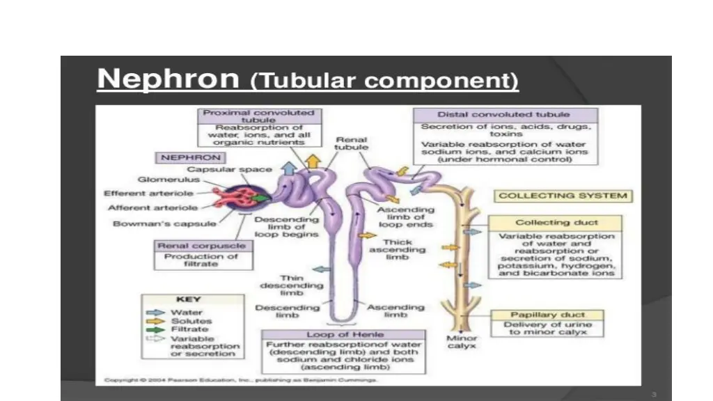 slide3