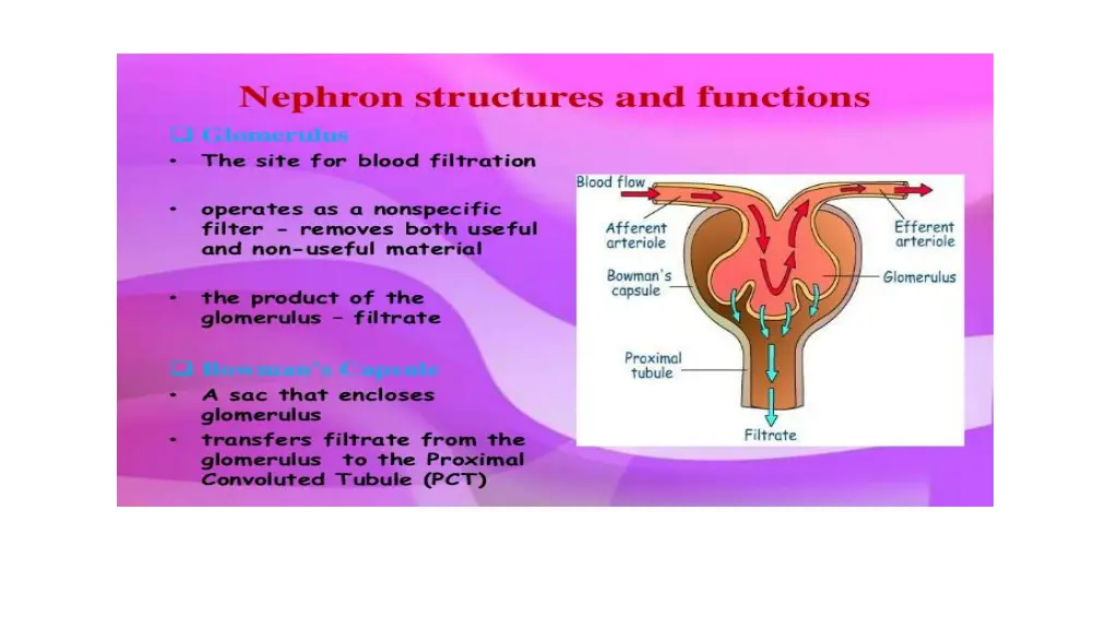 slide4