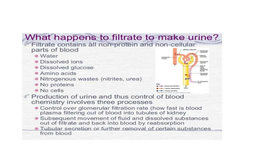 slide6