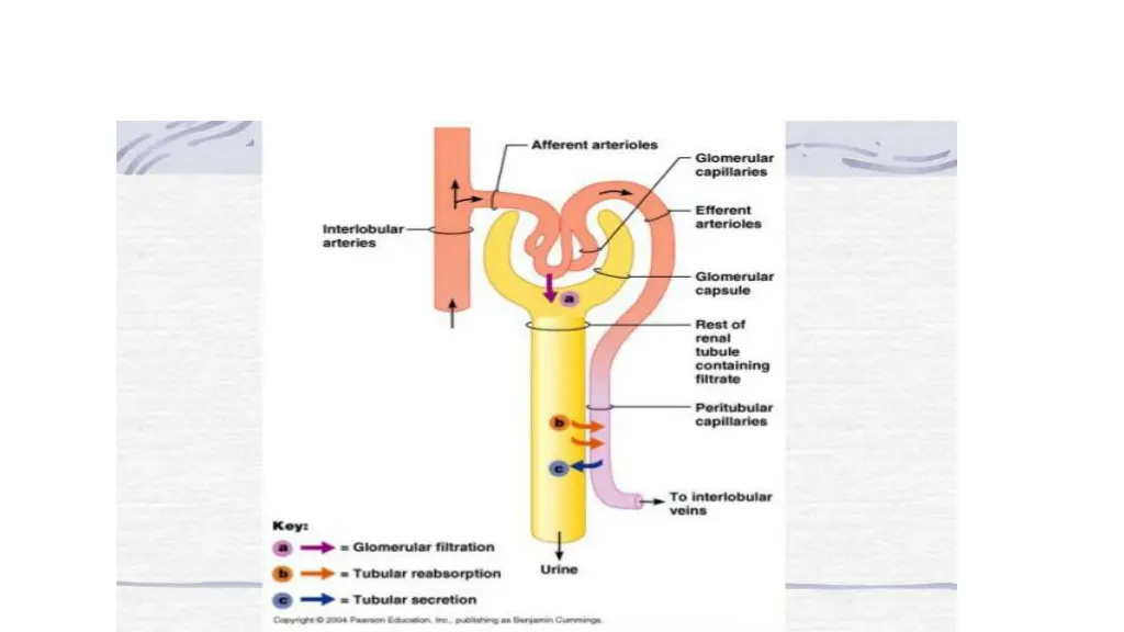 slide7