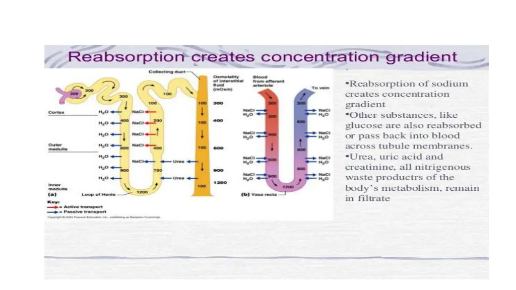 slide9