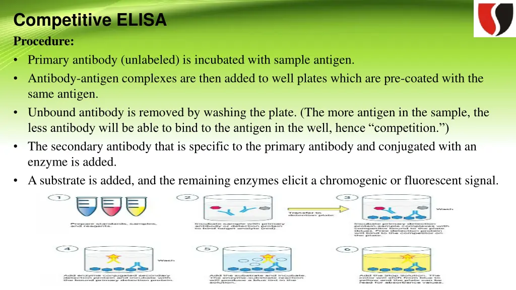 competitive elisa procedure primary antibody