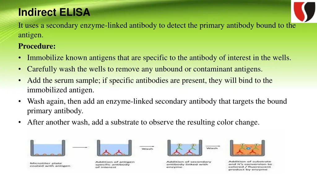 indirect elisa it uses a secondary enzyme linked
