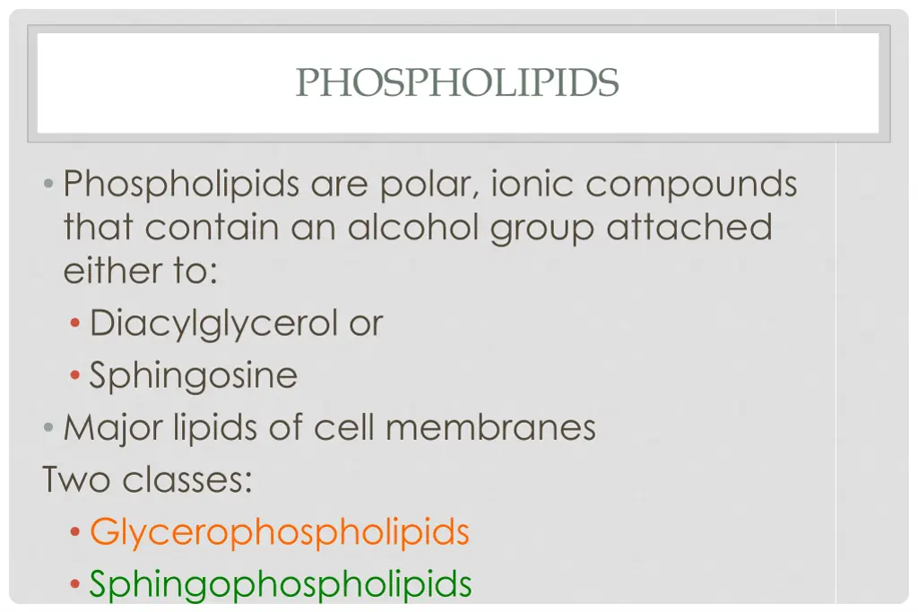 phospholipids