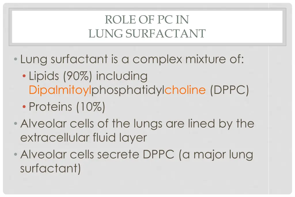 role of pc in lung surfactant