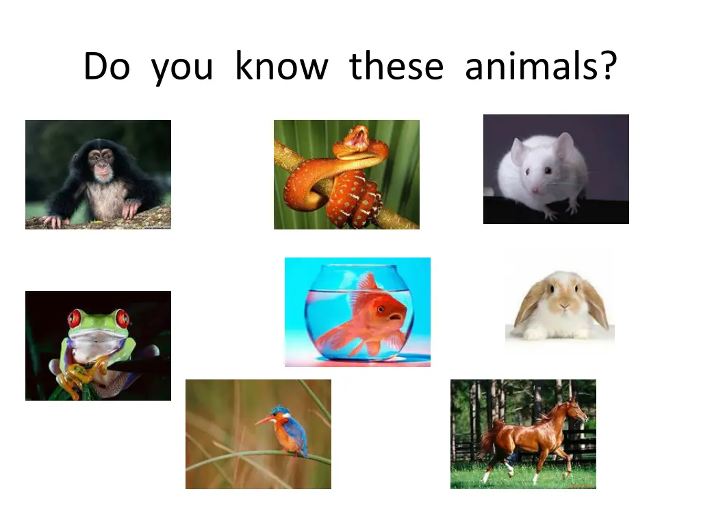 do you know these animals