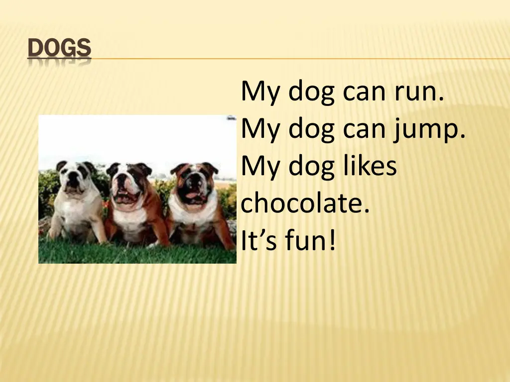 dogs dogs