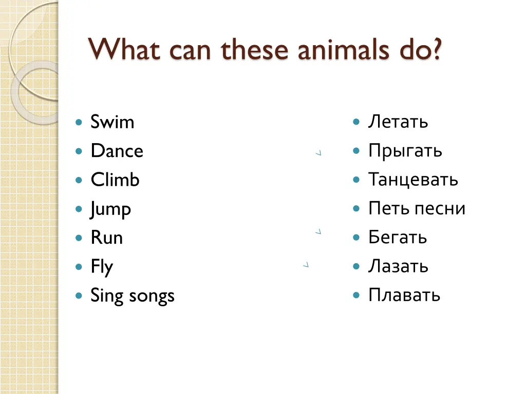 what can these animals do