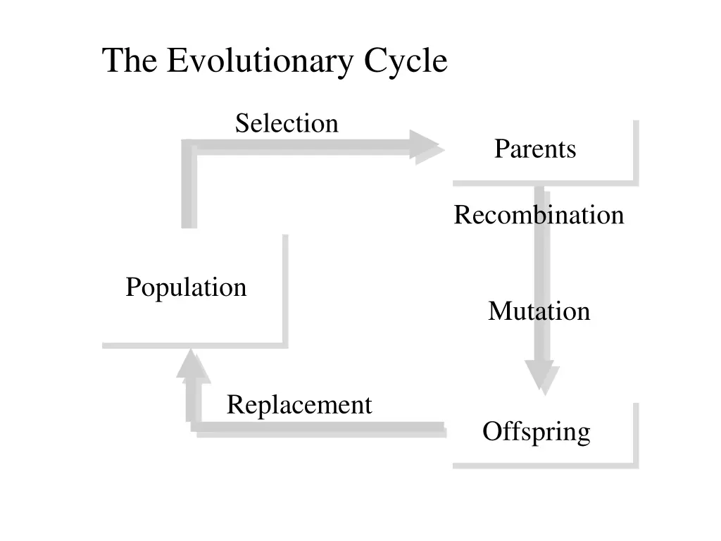 the evolutionary cycle