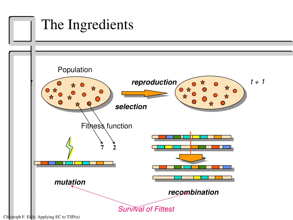 the ingredients