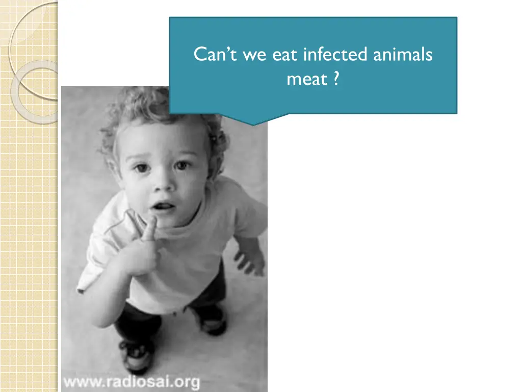 can t we eat infected animals meat