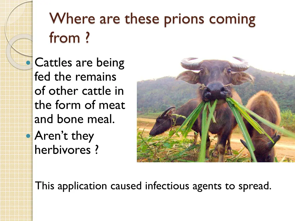 where are these prions coming from