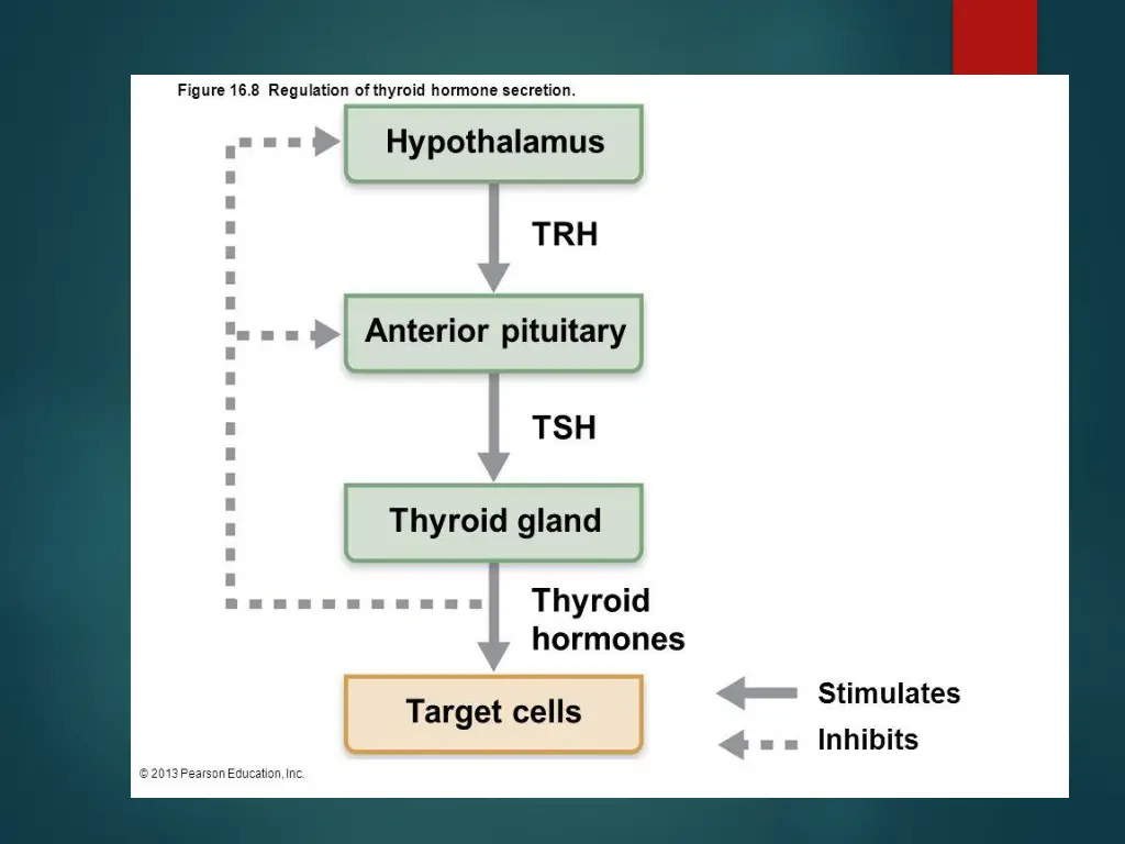 slide23