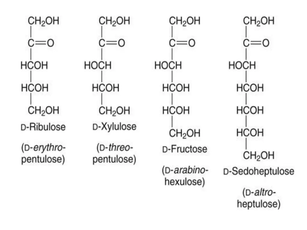 slide16