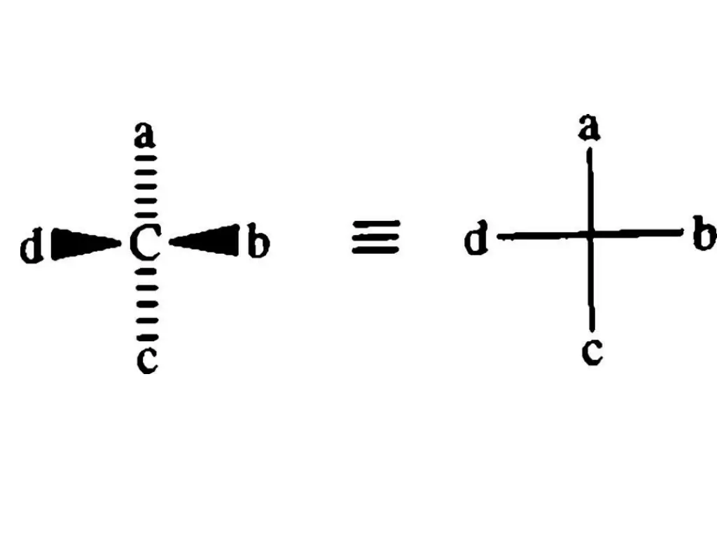 slide19