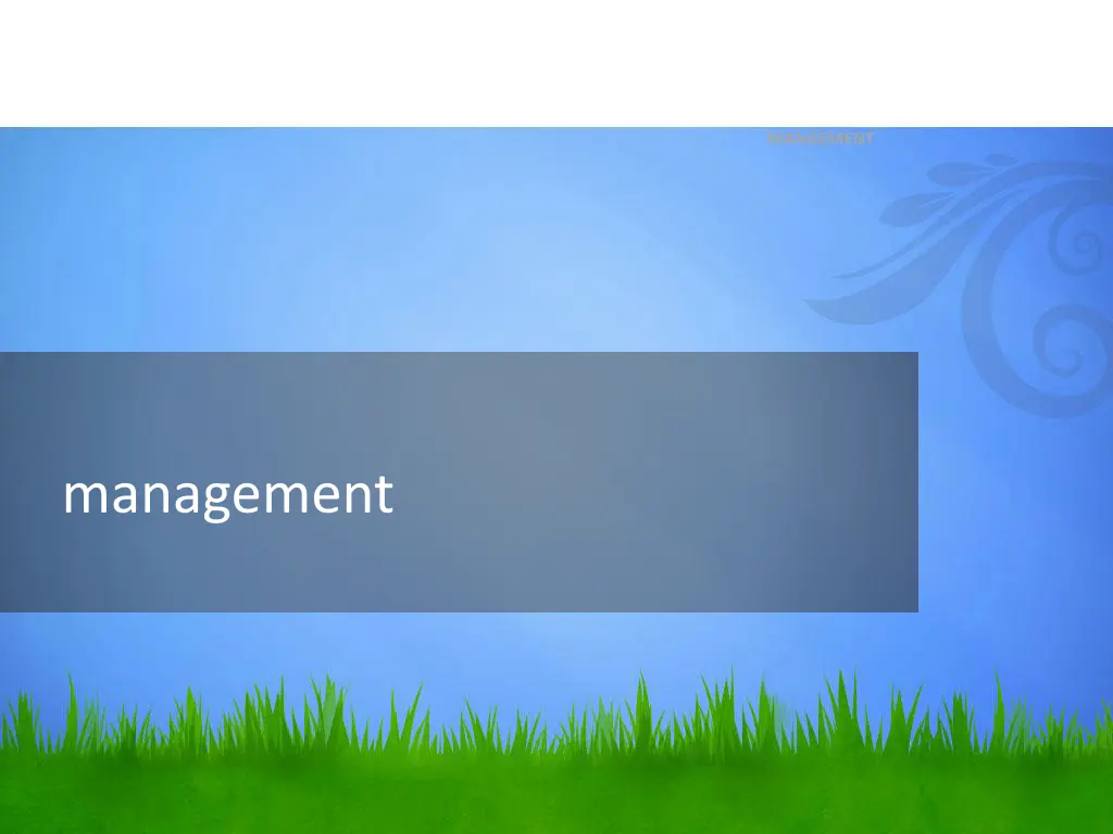 mangement