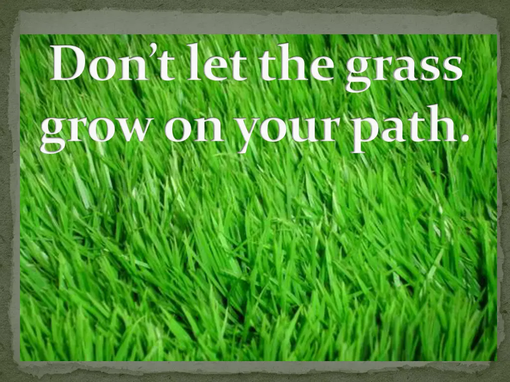 don t let the grass grow on your path