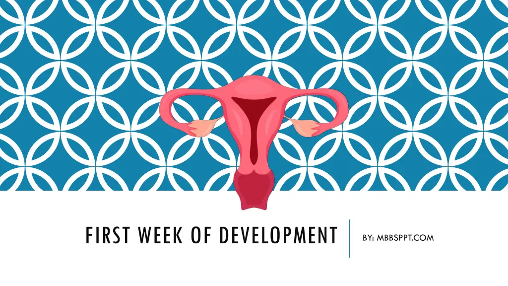 first week of development