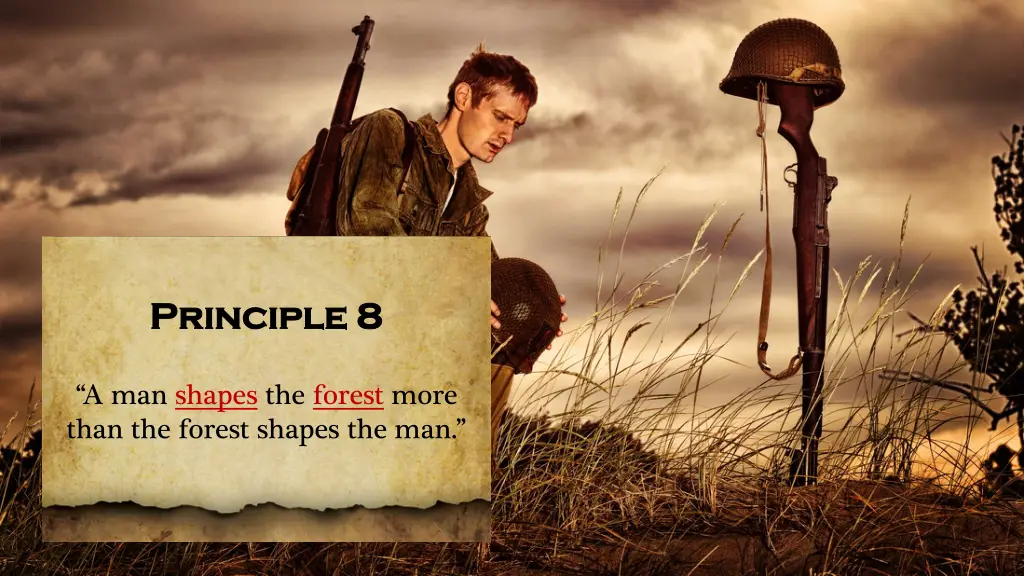 principle 8 principle 8