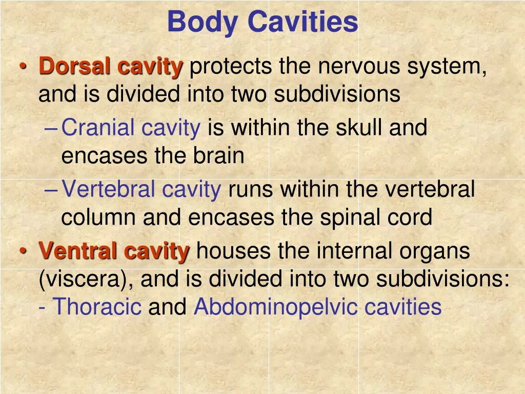 body cavities 1