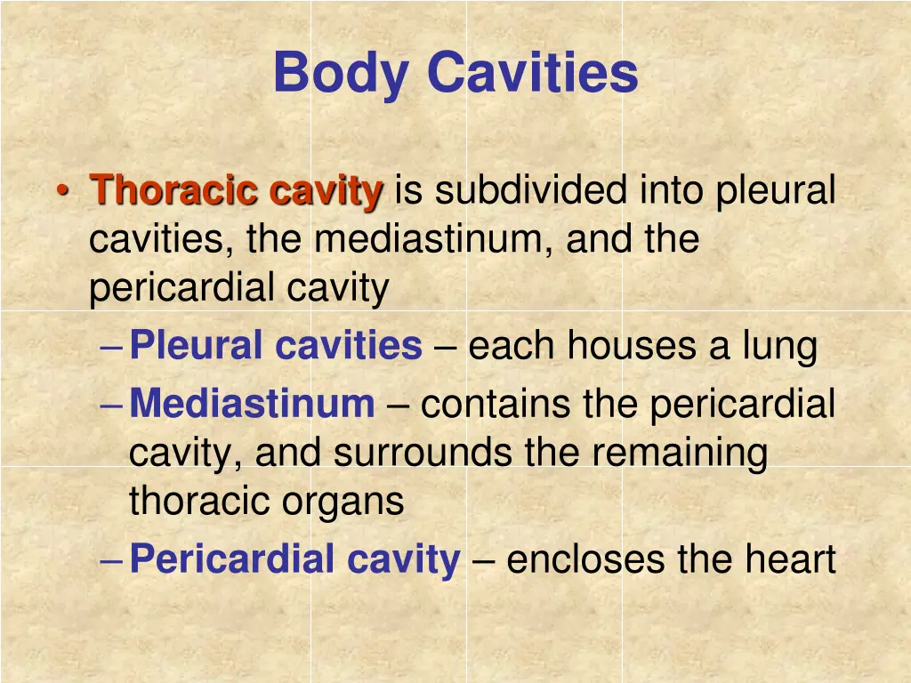 body cavities 3