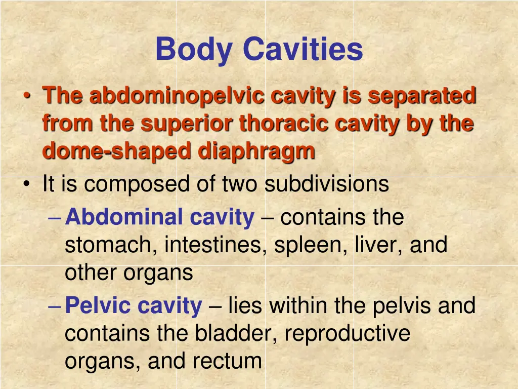 body cavities 4