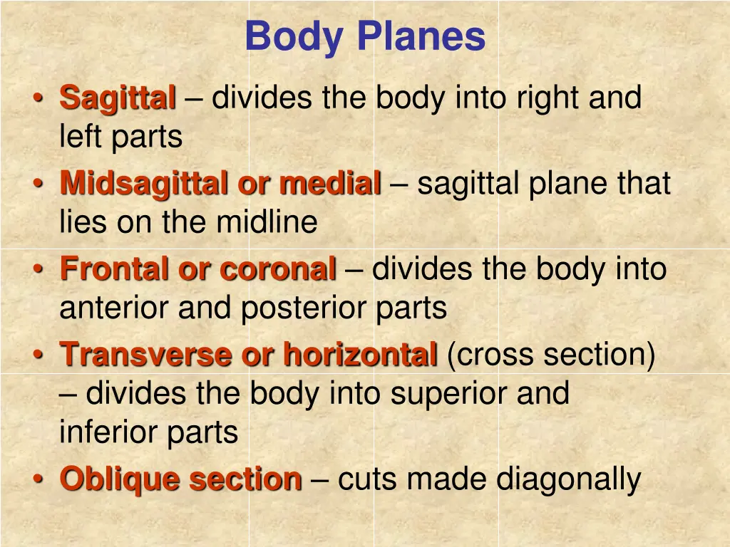 body planes