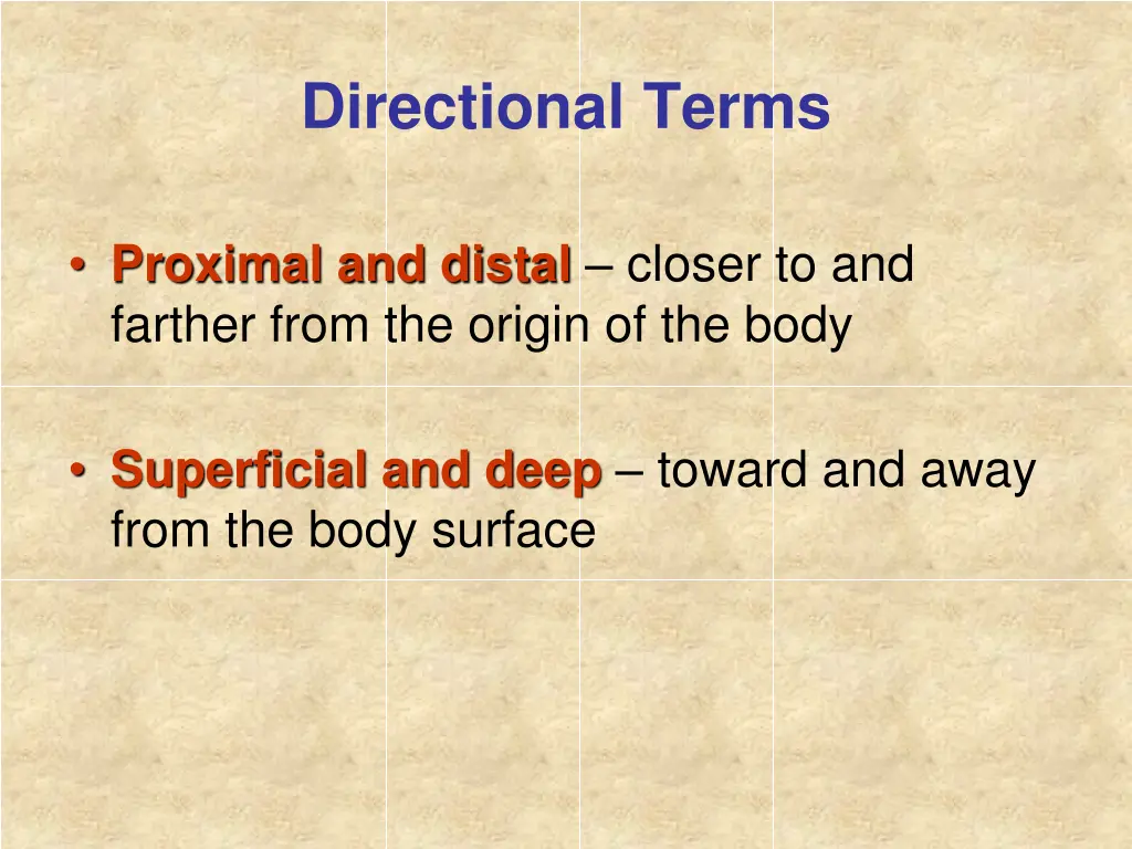directional terms 1