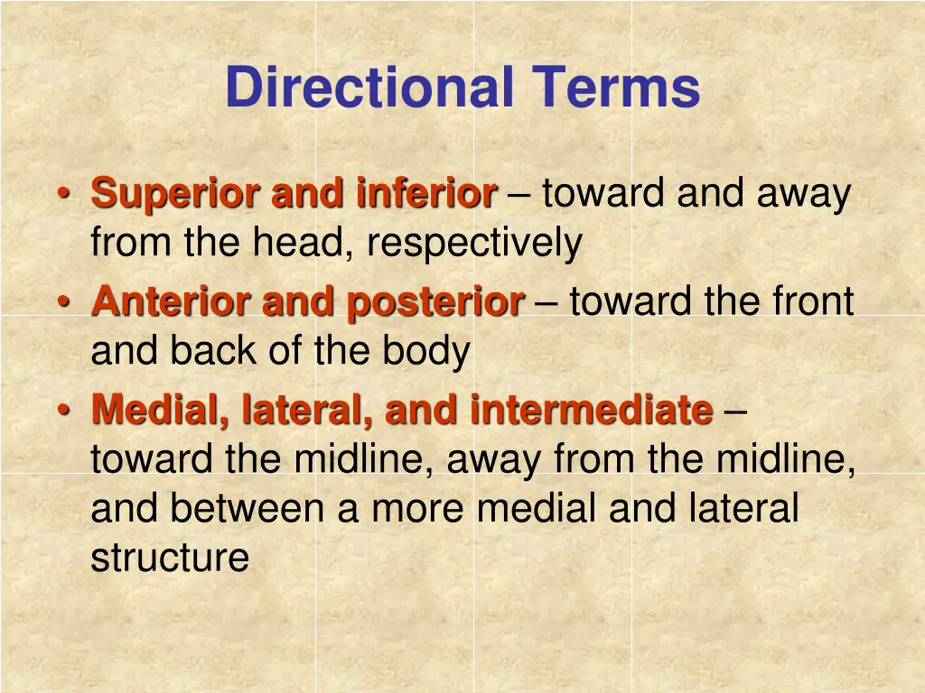 directional terms