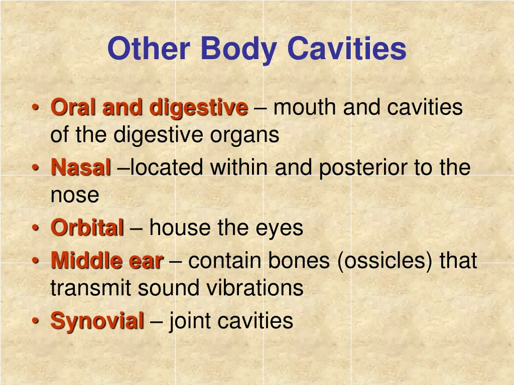 other body cavities