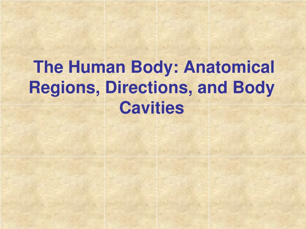 the human body anatomical regions directions