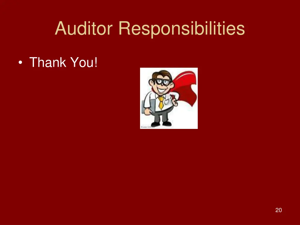 auditor responsibilities