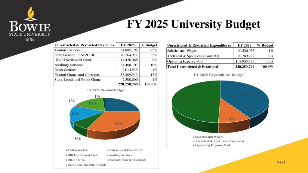 fy 2025 university budget