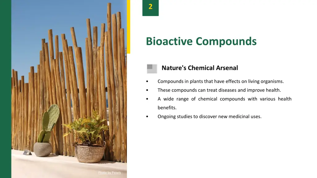 slide4