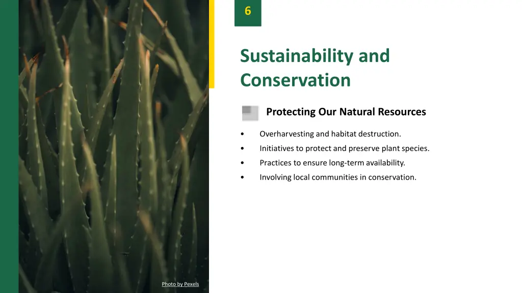 slide8
