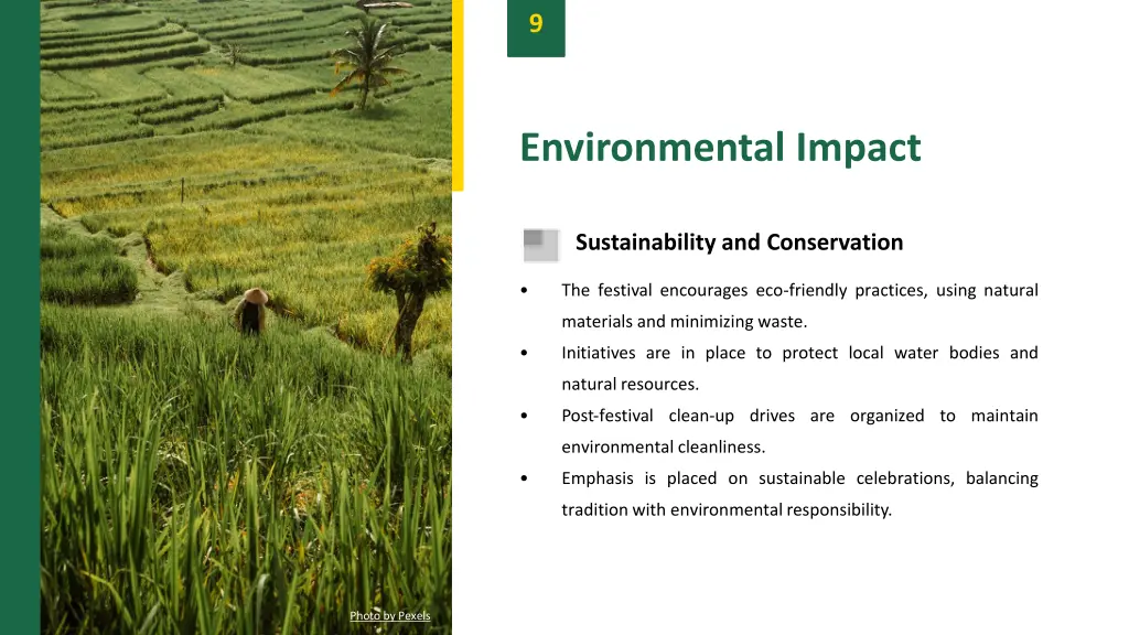 slide11