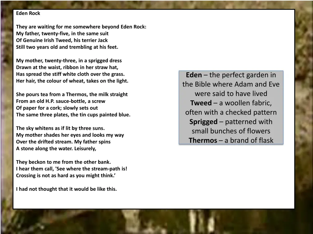 eden rock